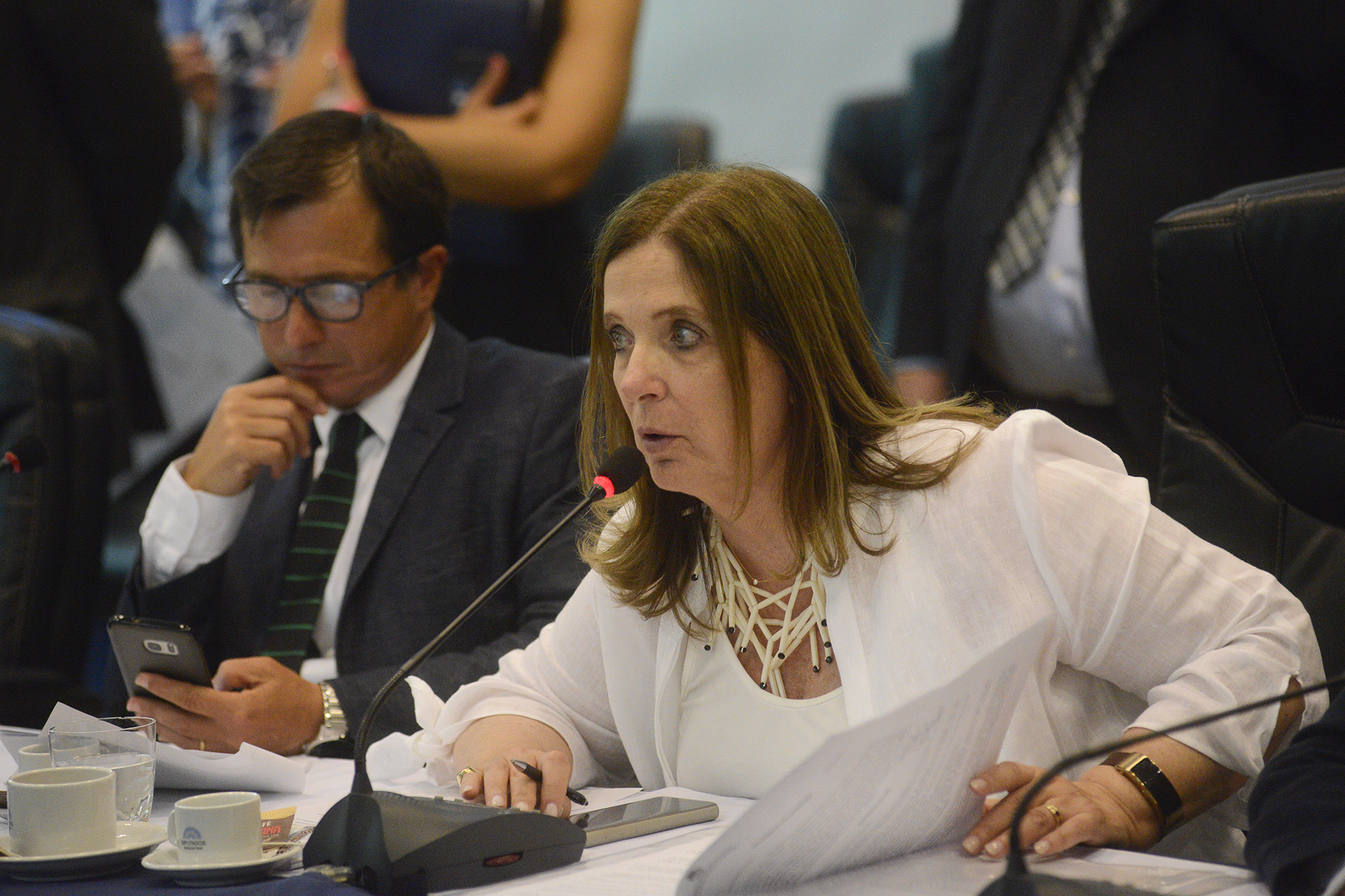 Galeria de imagenes de la noticia UN PLENARIO DE COMISIONES EMITIÓ DICTAMEN FAVORABLE PARA UNA NUEVA LEY DE VACUNAS